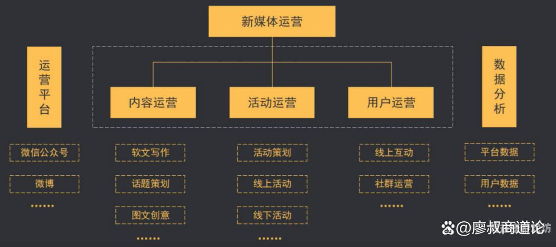 平台哪个好平台哪个好，深度剖析当前热门自媒体平台优势与特点
