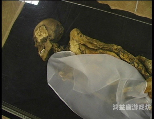 gyno日本妇科检查视频，探索女性骚聊视频APP苹果版的新视角日本妇科诊查