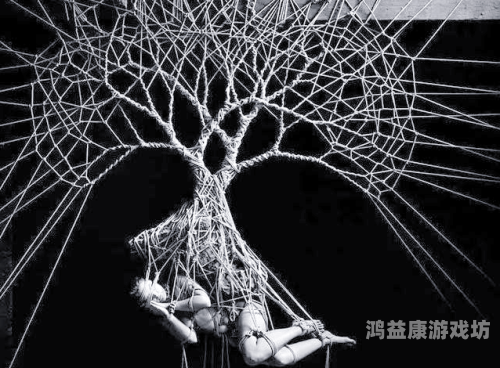 长靴下的神秘世界，探索SM调教网站