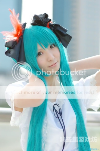 婷婷成人社区，探索免费视频的秘密世界婷婷成人社区视频在线观看