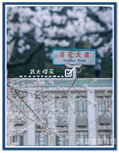 久久国产成人午夜AV影院樱花国产成人午夜AV影片盛宴，久久樱花之夜