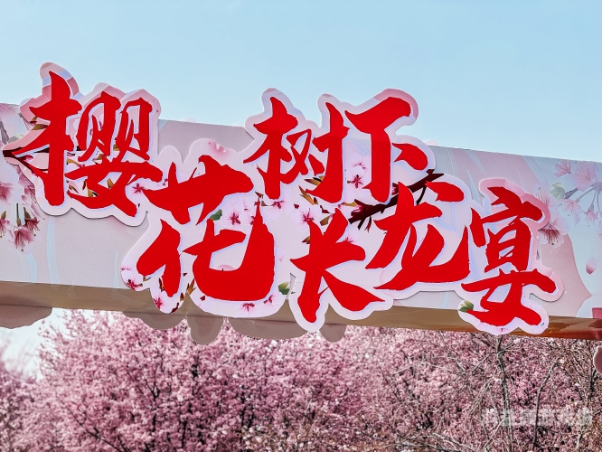 久久国产成人午夜AV影院樱花国产成人午夜AV影片盛宴，久久樱花之夜