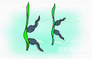 91自拍蝌蚪百度搜索热门文章，91自拍蝌蚪