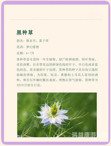 977超碰青青草，探索神秘植物的世界