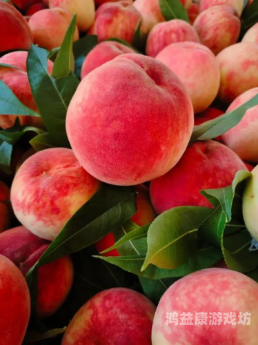 国产水蜜桃一区二区三区国产水蜜桃，一区、二区、三区特色与市场前景