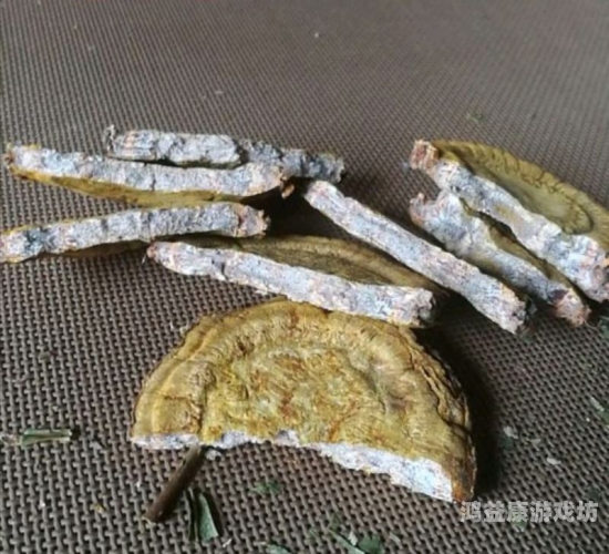 欧洲一级大黄片欧洲一级大黄片，骚聊视频APP苹果版与保健的新选择