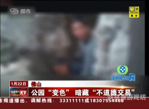 男女激情黄片免费观看，揭秘网络热潮男女黄山视频