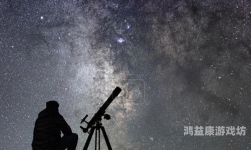 成人理论免费手机看片，探索网络世界的隐秘角落